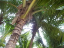 100_6595.JPG