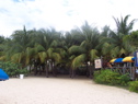 100_6576.JPG