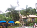 100_6578.JPG