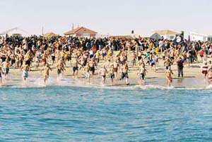 polarplunge_photo3