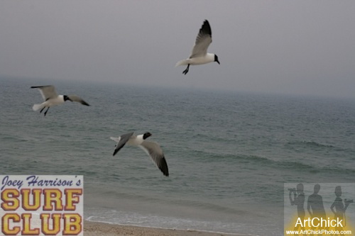watermark-14